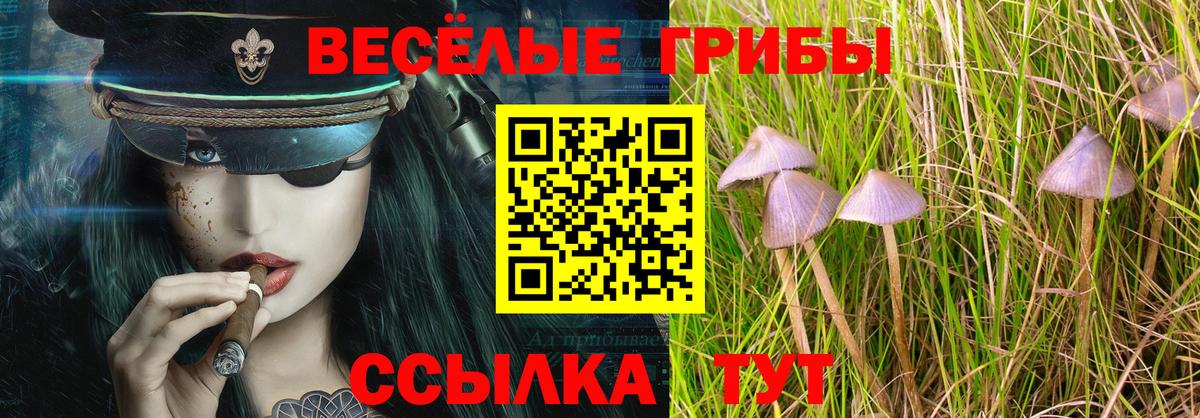 Псилоцибиновые грибы MAGIC MUSHROOMS Урус-Мартан