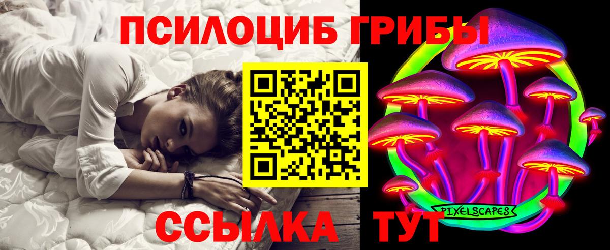 Псилоцибиновые грибы Psilocybine cubensis  Вход с VPN  Урус-Мартан 